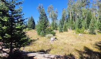 2071 S Knight St, Brian Head, UT 84719