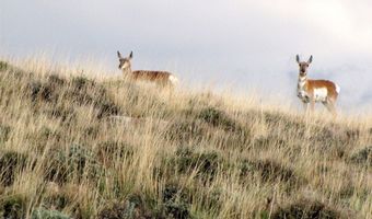 Tbd Takota Lane, Belfry, MT 59008