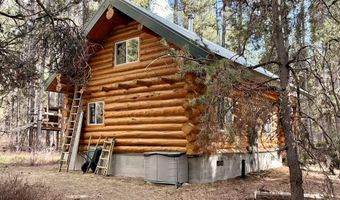 4537 N Elk Loop Rd, Ashton, ID 83429