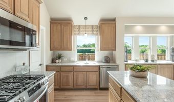 805 Twin Pine Ct, Anna, TX 75409