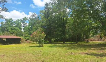 880 Sellers Rd, Baxley, GA 31513