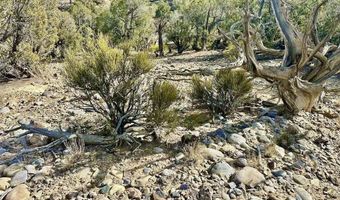 CR 2550 Road, Aztec, NM 87410