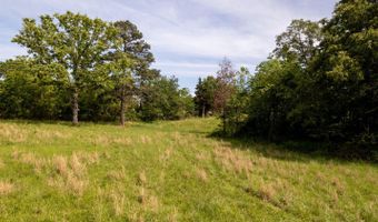 1250 County Road 405, Alton, MO 65606