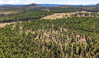 N2147, Alpine, AZ 85920