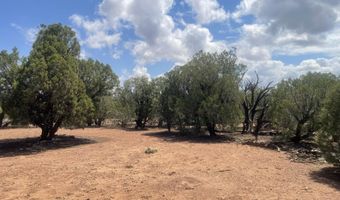 4934 Elk Trail Rd, Clay Springs, AZ 85923