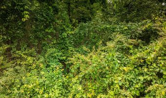 Mat Morrow Road, Arab, AL 35016