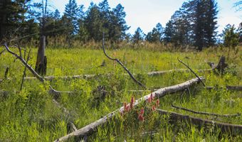 381 OLD CAMP Rd, Bellvue, CO 80512