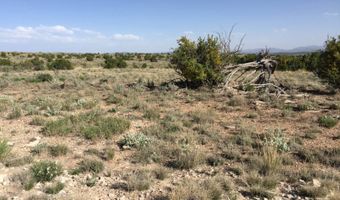 572 Windmill Rd, Carrizozo, NM 88301