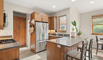 287 SOUTHSIDE Dr, Basalt, CO 81621