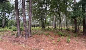 2 N 4140 Rd, Antlers, OK 74523