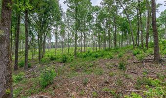 Wilson Lane, Arnoldsville, GA 30619