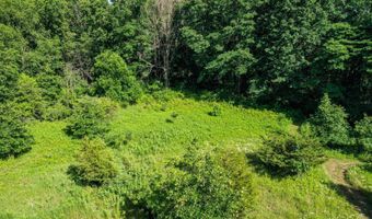12552 Agate Ct SE, Alto, MI 49302