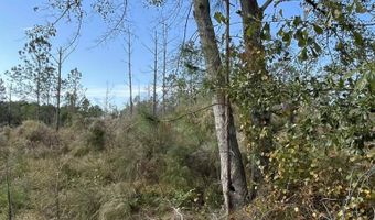 Virginia Drive, Atmore, AL 36502