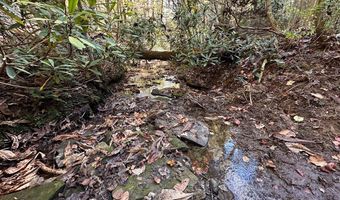 18 6 Acres Cave Branch Rd, Allardt, TN 38504