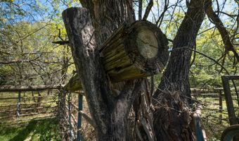 1234 Odell Springs Road OK, Bennington, OK 74723