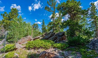 518 Meadow Mountain Dr, Allenspark, CO 80510