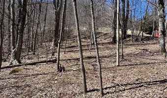 Tdb Nettles Ridge Road, Banner Elk, NC 28604