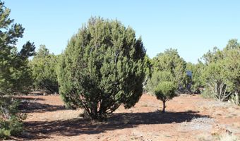 113 County Road 8092 Cedar, Concho, AZ 85924