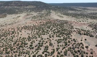 006 N8604, Concho, AZ 85924