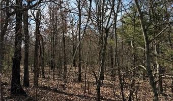 Tract 2 Rural Atoka, Atoka, OK 74525