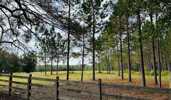 644 Ash-Harrel Loop, Abbeville, GA 31001