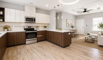 1317 S Xanthia St, Alton, TX 78573