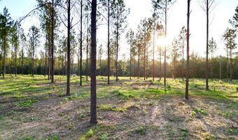 4 AL SR 223, Banks, AL 36005