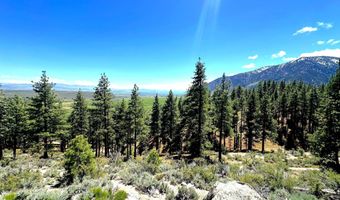 3510 Cutoff Trl, Carson City, NV 89705