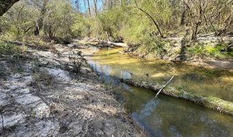 000 Mt Pleasant Ln SE, Bogue Chitto, MS 39629