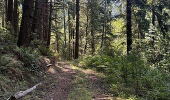 Silver Creek RD 2, Gold Beach, OR 97444
