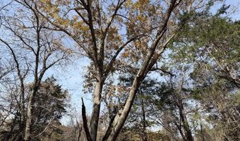 Parcel A DULWICH DR, Amherst, VA 24521