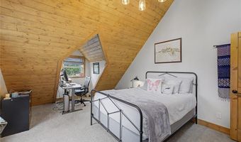62 Lazy Rex Rd, Alma, CO 80440