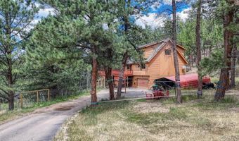33 Grouse Ln, Bailey, CO 80421