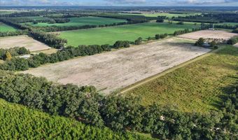 6351 2nd Ln, Bell, FL 32619