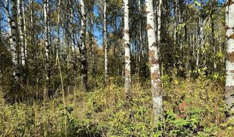 4051 Golden Stone Ln, Ashton, ID 83420