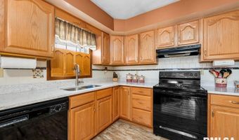 209 HENRY Pl, Orion, IL 61273