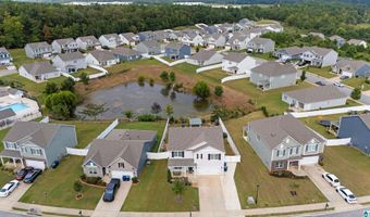 1009 CANVASBACK Way, Alabaster, AL 35007