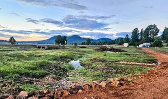 8 N COUNTY ROAD N2062 008, Alpine, AZ 85920