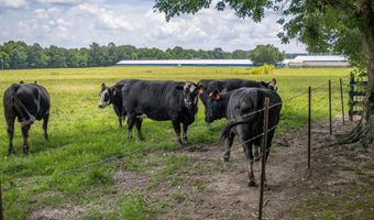 11324 COUNTY ROAD 33, Ashville, AL 35953
