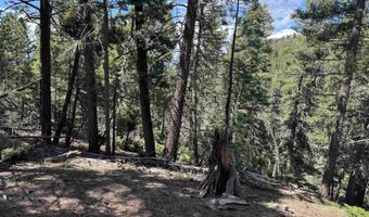 El Vado Way lot 1662, Angel Fire, NM 87710