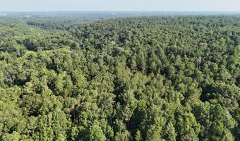 Swamp Road, Beech Island, SC 29842