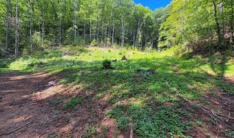 585 Valley View Heights Ln, Andrews, NC 28901