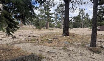 636 Mountain Center 35-0002, Mountain Center, CA 92561
