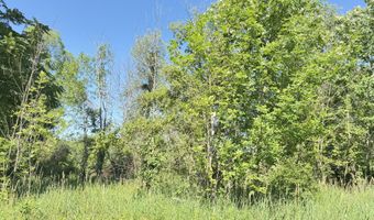 13513 100th St SE, Alto, MI 49302