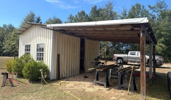 493 Mcduff Dr, Alford, FL 32420