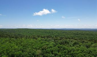 Tract 46 Trail Ridge Rd, Albion, OK 74571