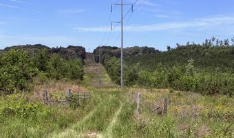 Tucker Road lot 11, Bath Springs, TN 38311