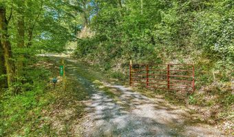 274 Poverty Branch Rd 2, Barnardsville, NC 28709