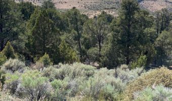 China Springs east lot 3 unit 3 3, Gardnerville, NV 89410