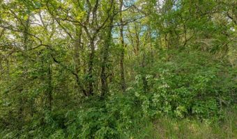 NW Kouns Dr, Albany, OR 97321